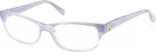 Purple Plastic Glasses (Frames)