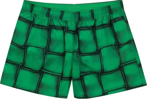 Green Polyamide Swim Shorts