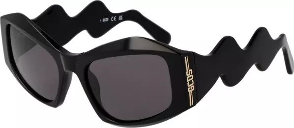 Black Acetate Sunglasses