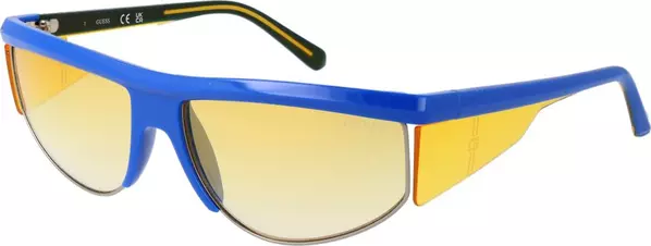 Blue Plastic Sunglasses