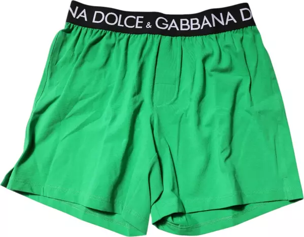 Green Cotton Regular Boxer Shorts Underwear