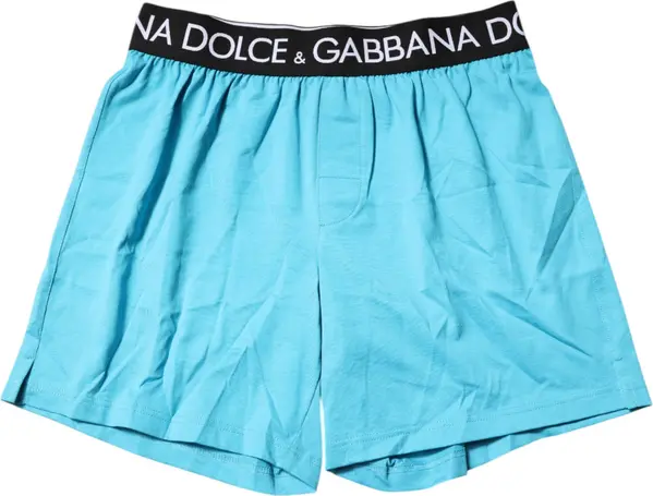 Blue Logo Waist Regular Boxer Shorts Underwear