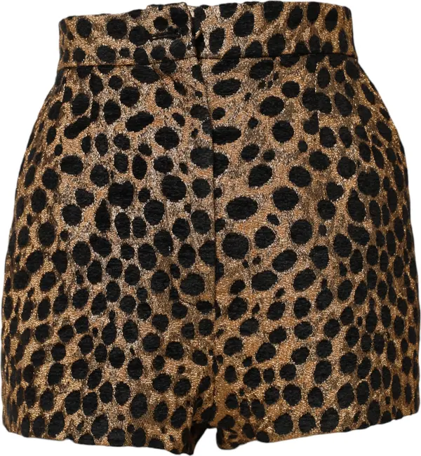 Brown Leopard High Waisted Hot Pants Shorts