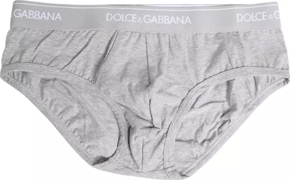 Gray Cotton Stretch Regular Brief Underwear