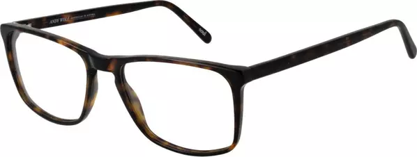 Brown Acetate Glasses (Frames)