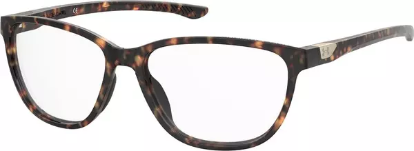Brown Resin Glasses (Frames)