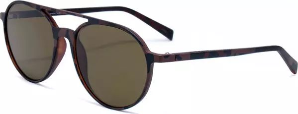 Brown Acetate Sunglasses