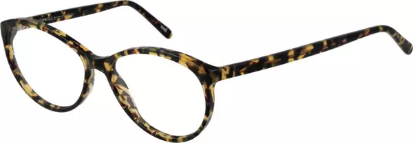 Bicolor Acetate Glasses (Frames)