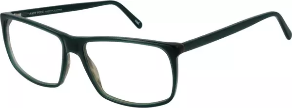 Bicolor Acetate Glasses (Frames)