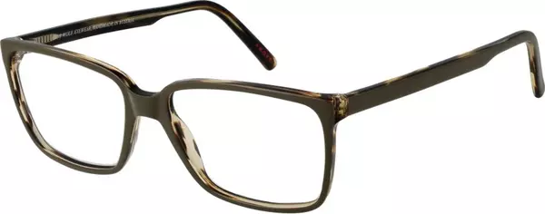 Brown Acetate Glasses (Frames)