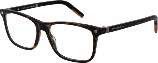 Brown Acetate Glasses (Frames)