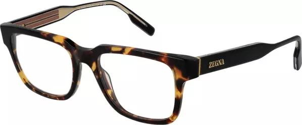 Brown Acetate Glasses (Frames)