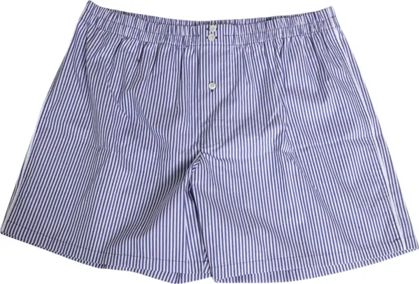 Blue White Cotton Striped Button Fly Shorts Swimwear