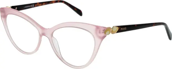 Pink Plastic Glasses (Frames)