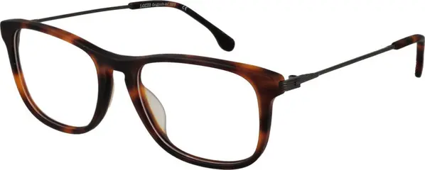 Brown Metal Glasses (Frames)