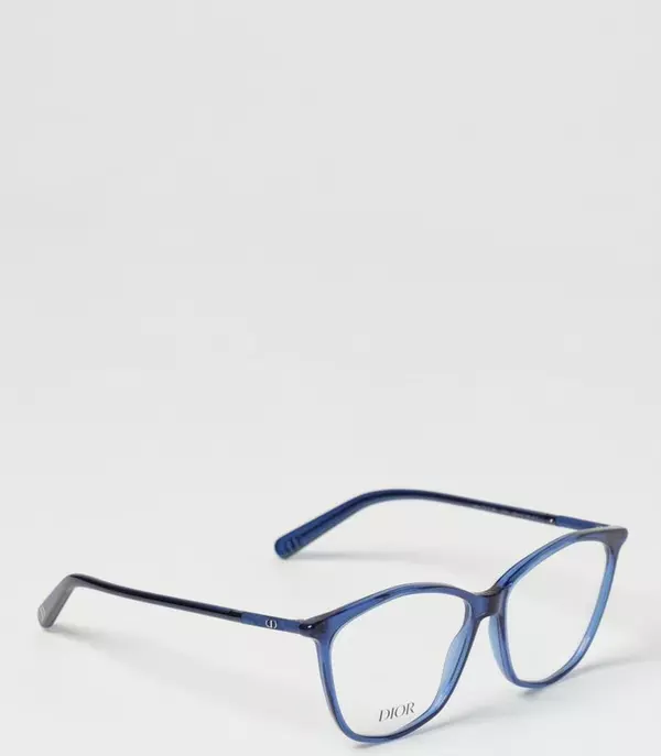 Blue Plastic Glasses (Frames)