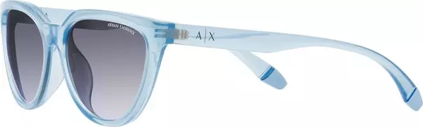 Blue Acetate Sunglasses