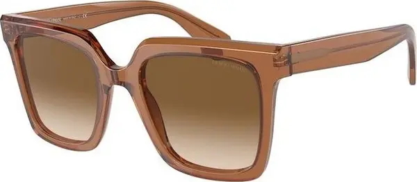 Brown Acetate Sunglasses