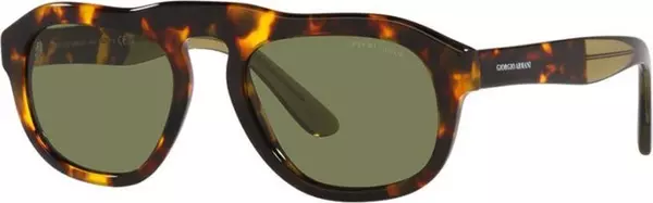 Brown Acetate Sunglasses