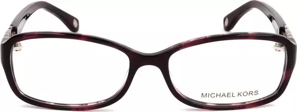 Purple Plastic Glasses (Frames)