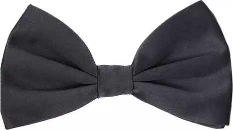 Gray Silk Bowtie