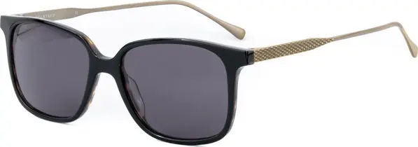 Brown Titanium Sunglasses