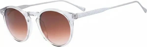 Gray Titanium Sunglasses