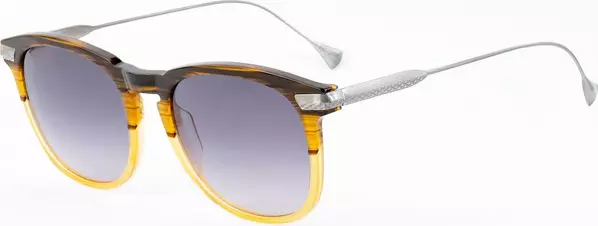Brown Titanium Sunglasses