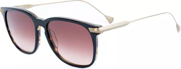 Brown Titanium Sunglasses
