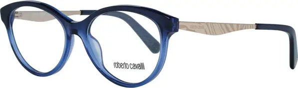 Blue Metal Glasses (Frames)