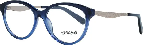 Blue Metal Glasses (Frames)