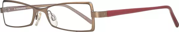 Brown Metal Glasses (Frames)