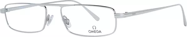 Gray Metal Glasses (Frames)