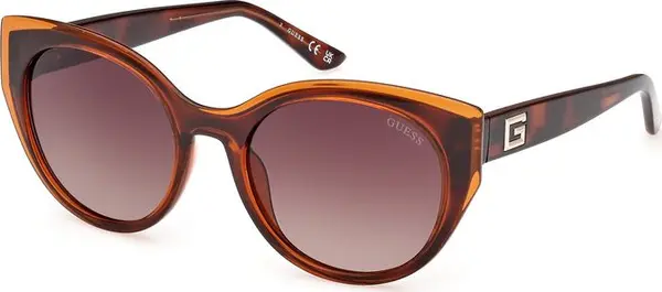Brown Resin Sunglasses