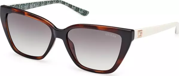 Brown Resin Sunglasses