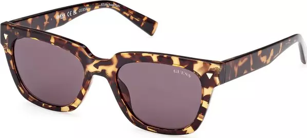 Brown Resin Sunglasses