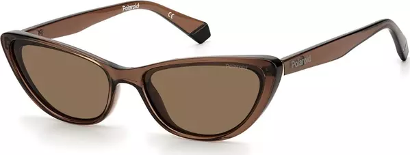 Brown Plastic Sunglasses