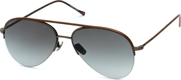 Brown Titanium Sunglasses